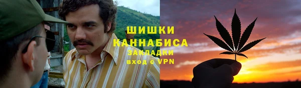 мяу мяу мука Пестово