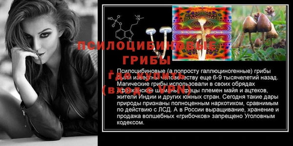 PSILOCYBIN Вязьма