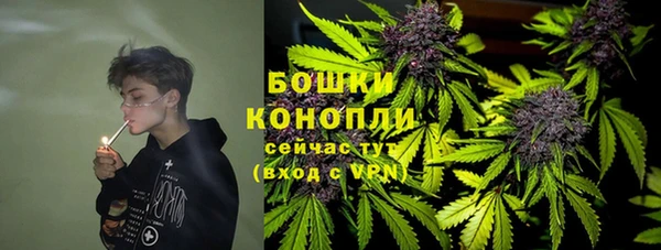 стафф Пересвет