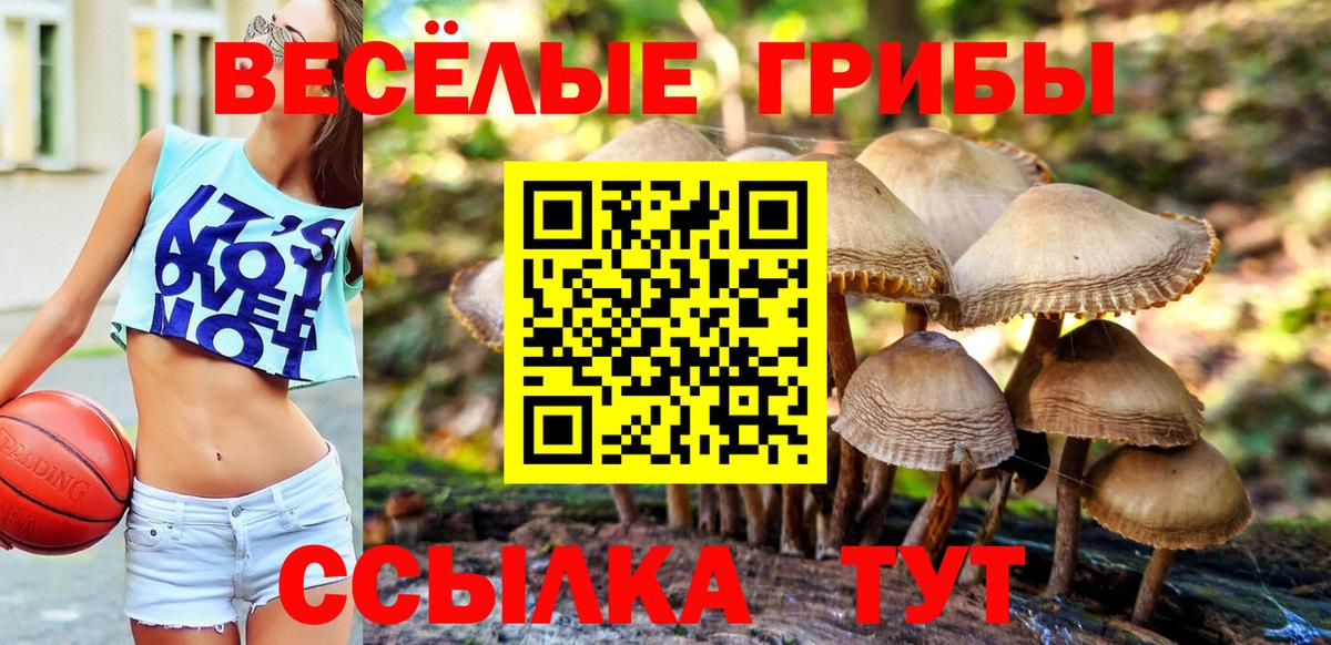 Галлюциногенные грибы ЛСД Заволжье