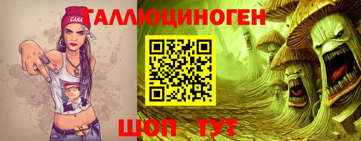 Заволжье  наркота  Вход с VPN  Псилоцибиновые грибы прущие грибы  Псилоцибиновые грибы ЛСД 
